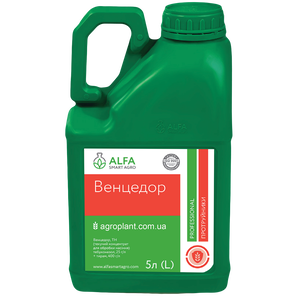 Венцедор