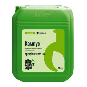 Кампус