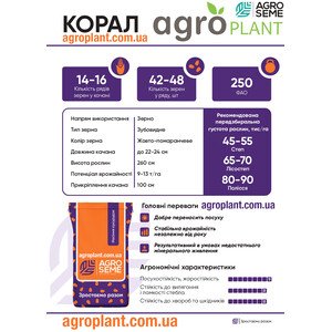 Кукурудза Корал
