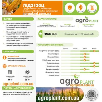 Купити насіння кукурудзи ЛІД 3130 Ц Лідеа (ФАО 320, зерно) | АгроПлант
