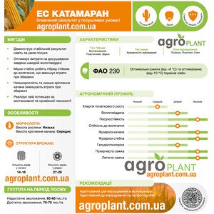 ЕС Катамаран