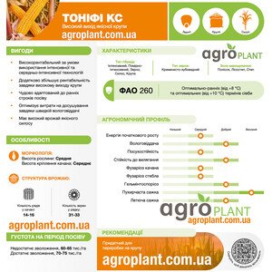 Тонифи КС