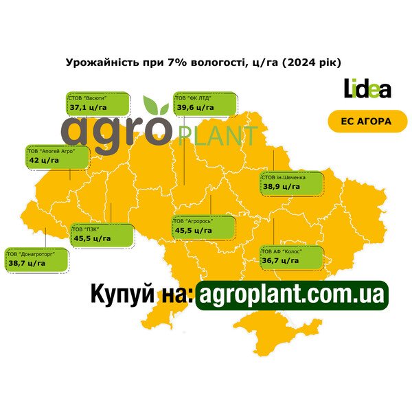 Семена подсолнечника Агора (ЕС Агора)
