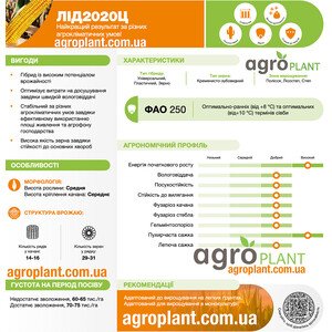 Кукурудза ЛІД 2020 Ц