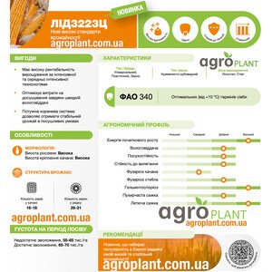 Кукурудза ЛІД 3223 Ц