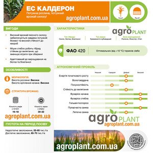 Кукурудза ЕС Калдерон