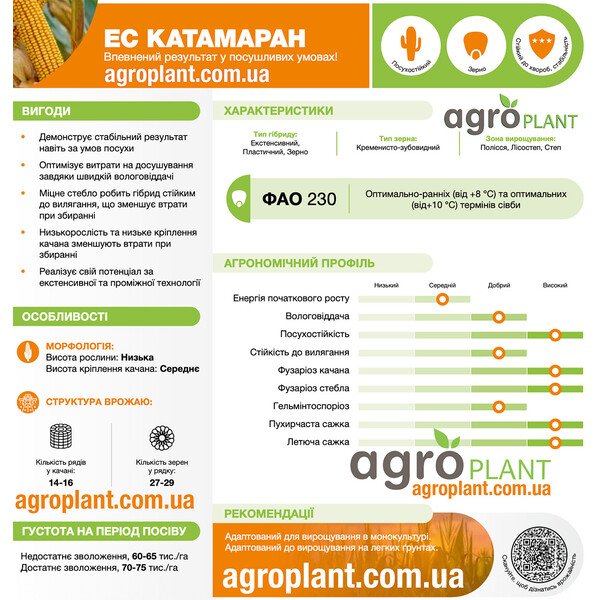 Кукурудза ЕС Катамаран Лідеа – насіння ФАО 230 (Зерно)
