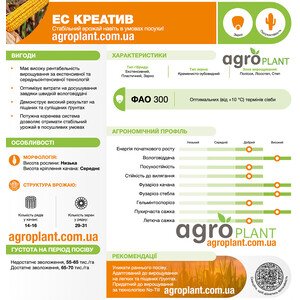 ЕС Креатив