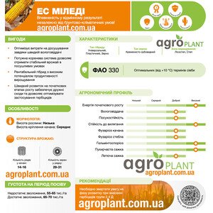 Кукурудза ЕС Міледі