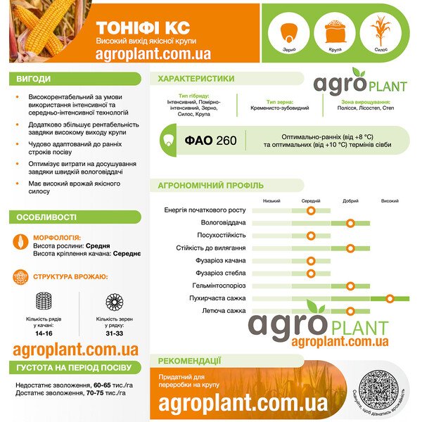 Кукурудза Тоніфі КС Лідеа – насіння ФАО 260 (Зерно, Крупа та Силос)