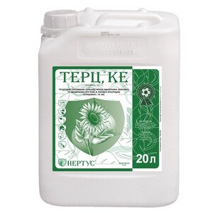 Терц