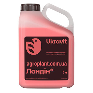 Ландин