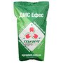 Кукурудза ДМС Ефес