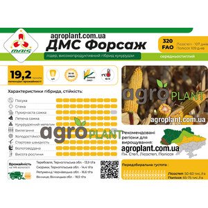 ДМС Форсаж