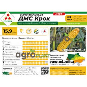 ДМС Крок