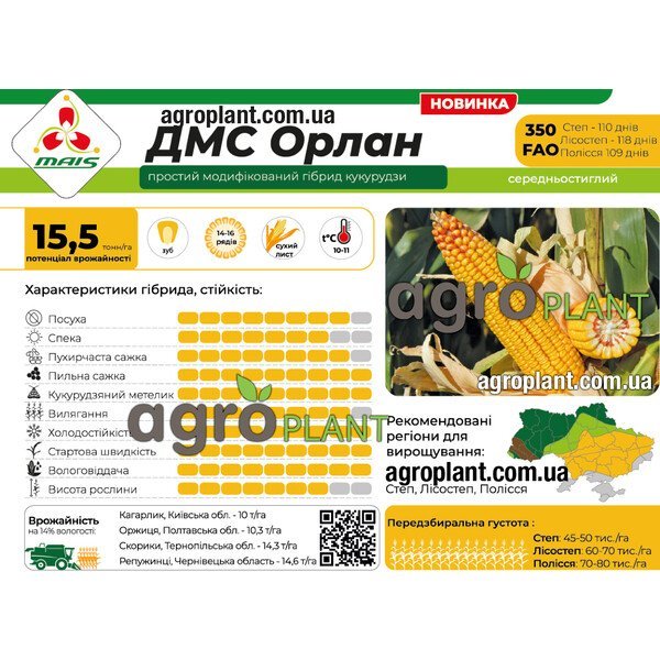 Кукурудза ДМС Орлан ФАО 330 – потужний гібрид із сухим листом та високою стійкістю