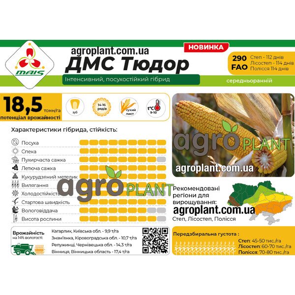Кукурудза ДМС Тюдор ФАО 290 – інтенсивний зерновий гібрид з потенціалом до 18,5 т/га