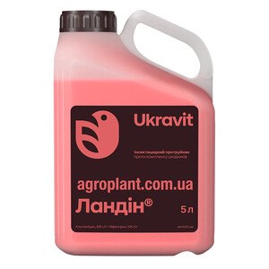 Ландин