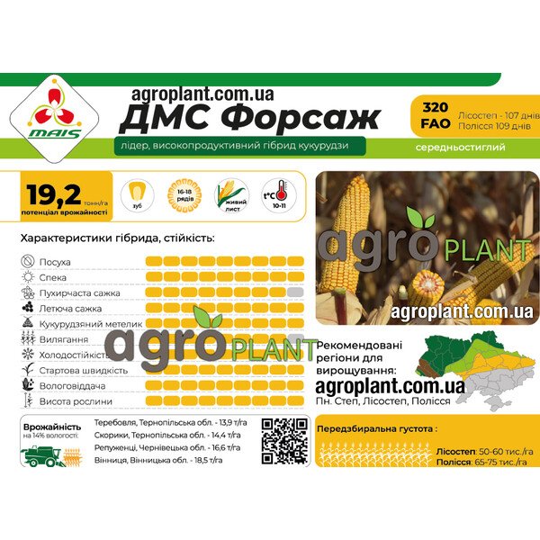 Кукурудза ДМС Форсаж ФАО 320 – високопродуктивний гібрид для усіх зон України