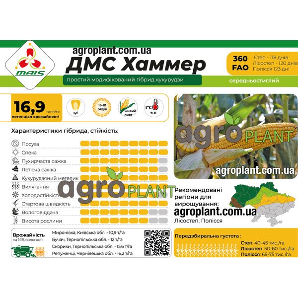 Кукуруза ДМС Хаммер (ФАО 360) – мощный и выносливый гибрид