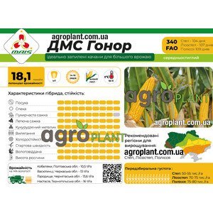 Кукурудза ДМС Гонор