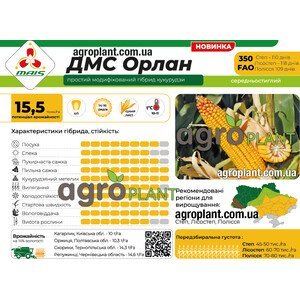 Кукурудза ДМС Орлан