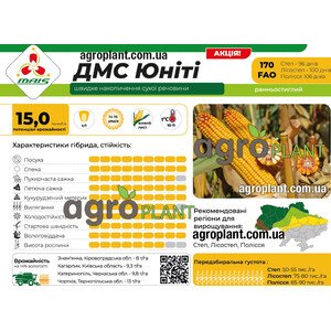 Кукурудза ДМС Юніті