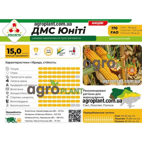 Кукурудза ДМС Юніті (ФАО 170) – ранньостиглий зерновий гібрид до 15 т/га