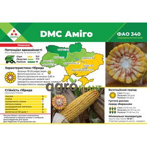 ДМС Амиго