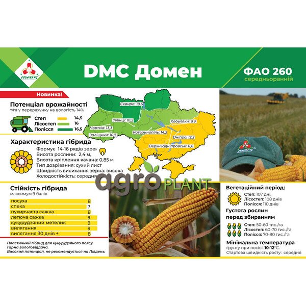 ДМС Домен кукуруза