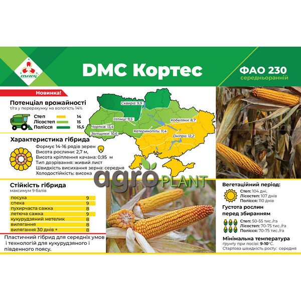 ДМС Кортес кукуруза