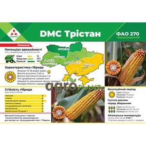ДМС Тристан