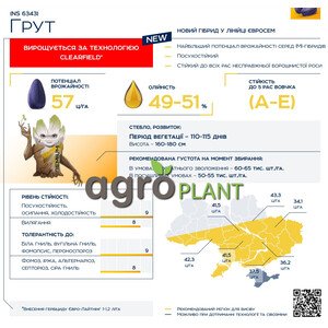 Грут