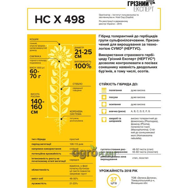 НСХ 498 подсолнечник