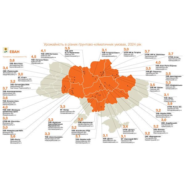 КВС Еван – соняшник лінолевий, висока олійність 53–55% | Насіння KWS