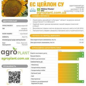 Соняшник Цейлон