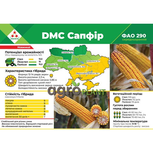 ДМС Сапфір кукурудза