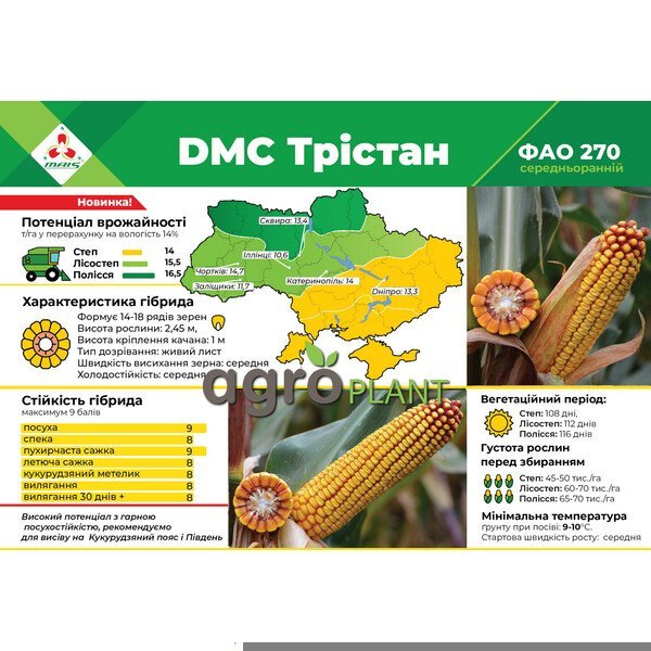 ДМС Трістан кукурудза