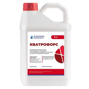 Кватрофорс