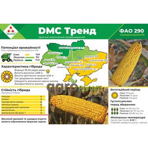 Кукурудза ДМС Тренд