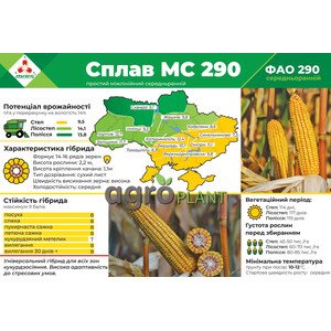 Кукурудза Сплав МС