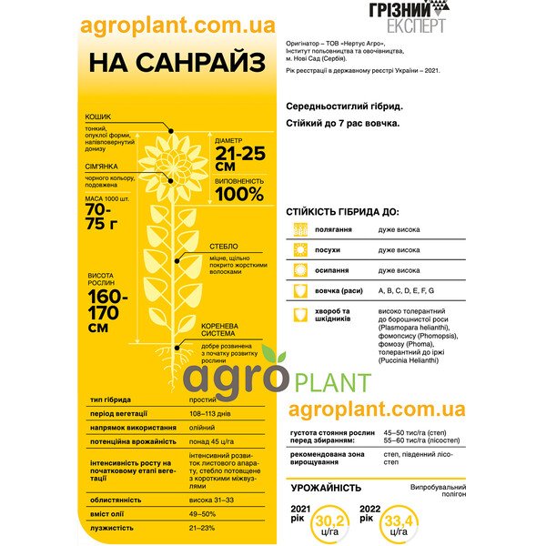Санрайз подсолнечник – максимум отдачи от Нертус