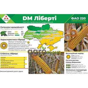 ДМ Либерти