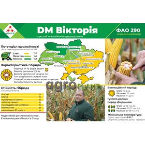 Кукурудза Вікторія