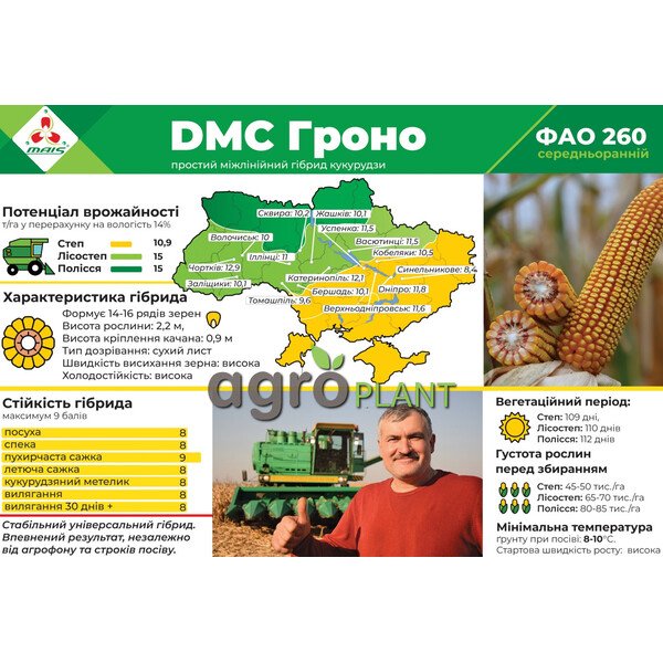 ДМС Гроно кукуруза