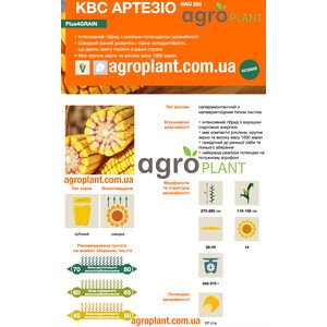 КВС Артезио