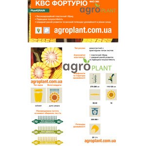КВС Фортурио