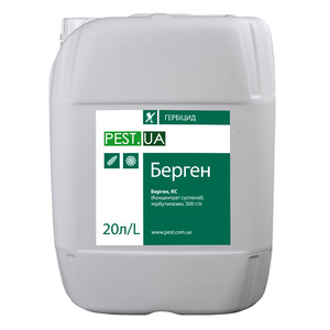 Берген