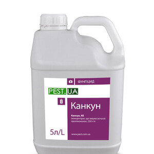 Канкун