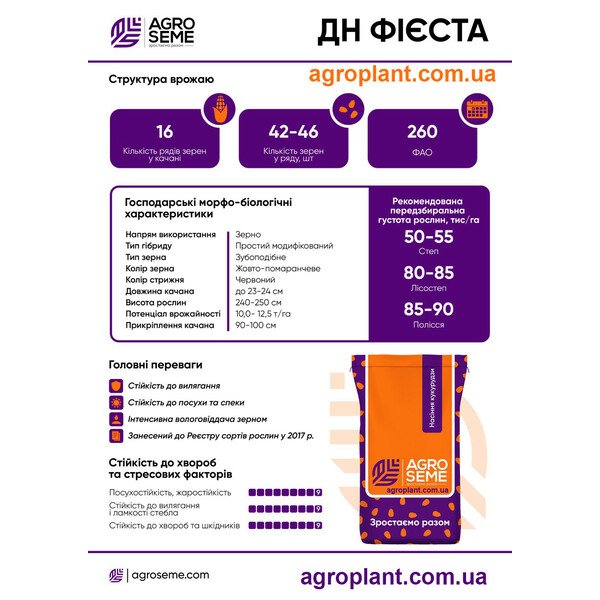 Фієста кукурудза ФАО 260